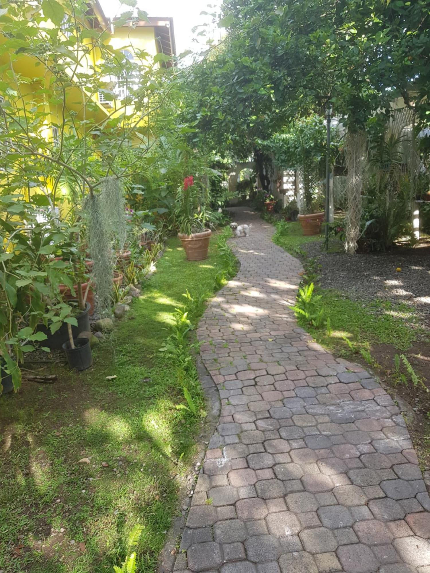 Orchid Cottage Kingston Cameră foto