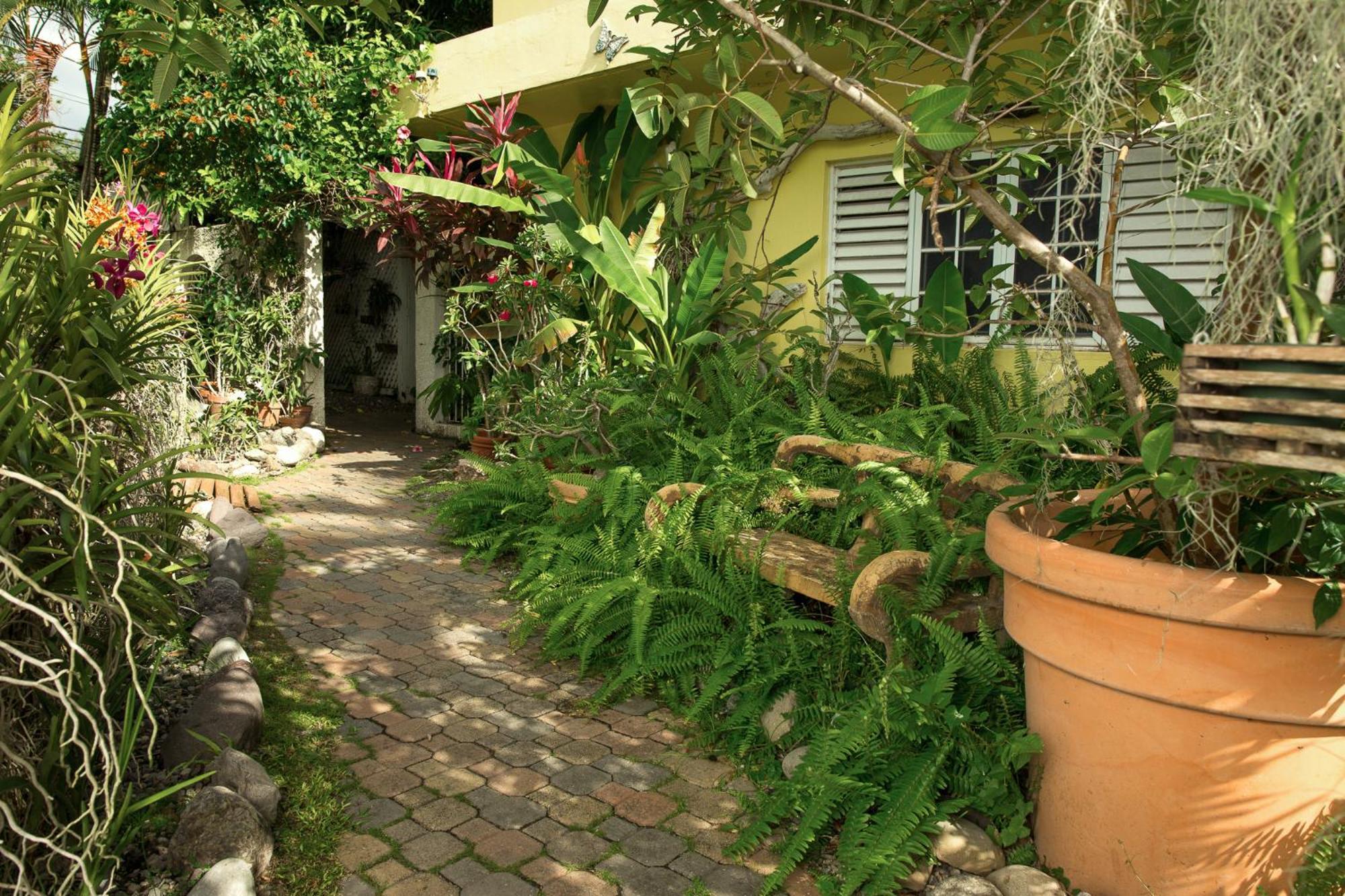 Orchid Cottage Kingston Cameră foto