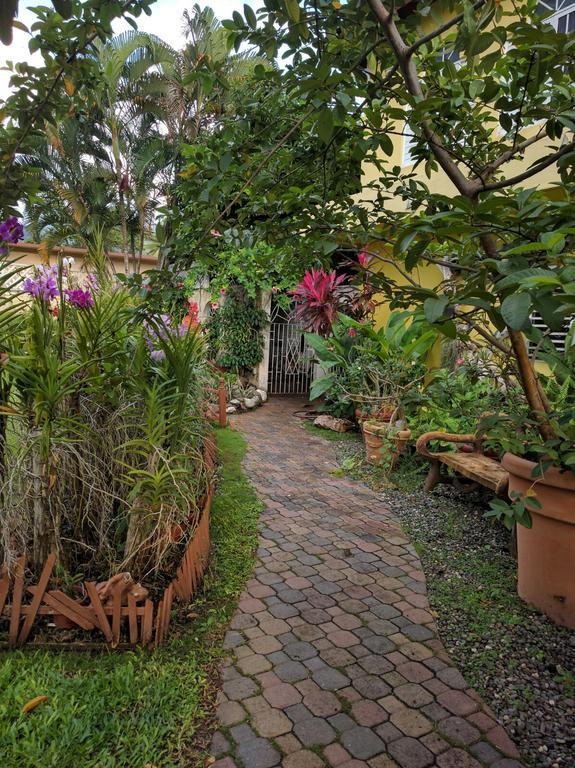 Orchid Cottage Kingston Exterior foto